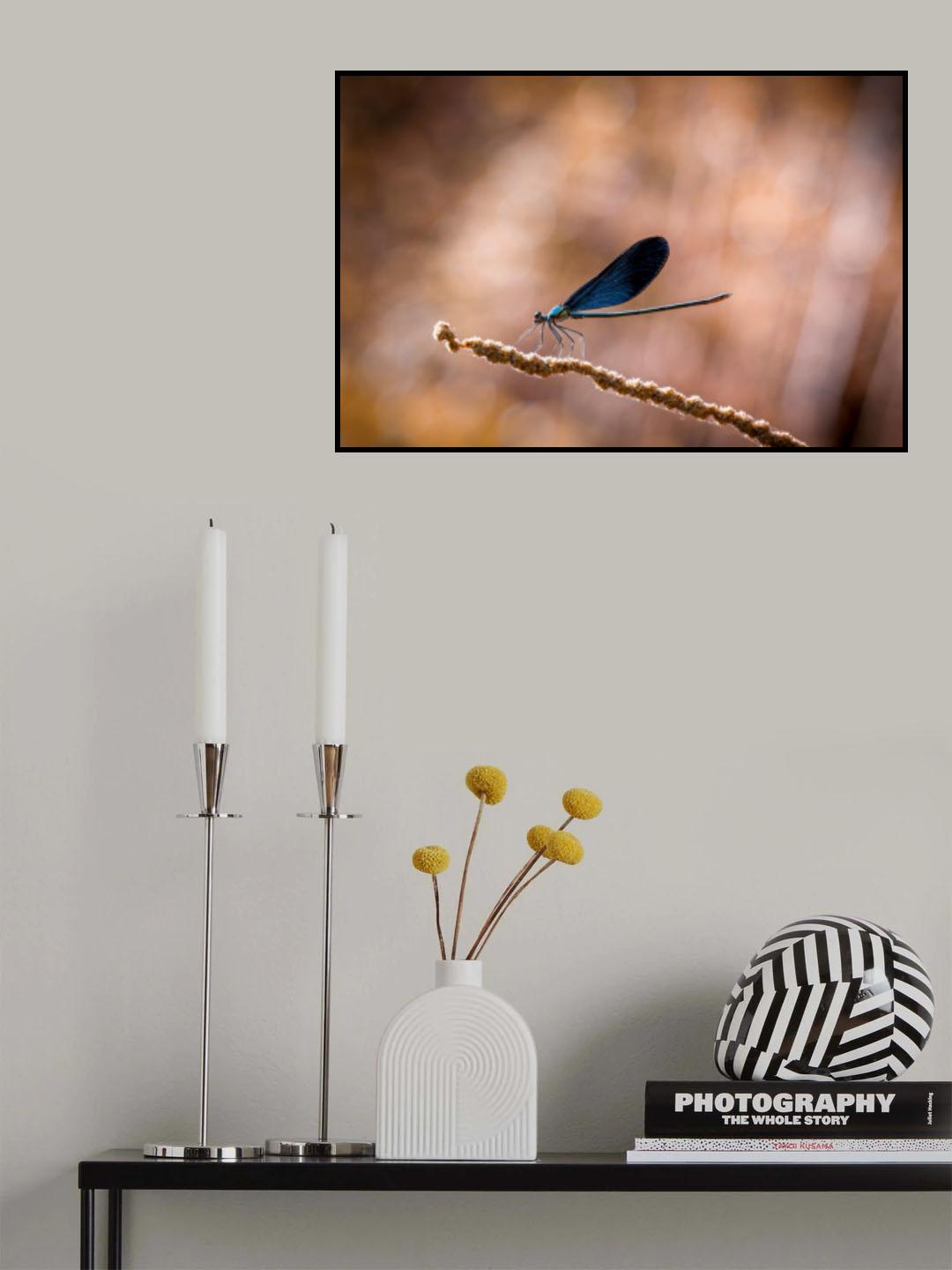 dragonfly Poster och Canvastavla