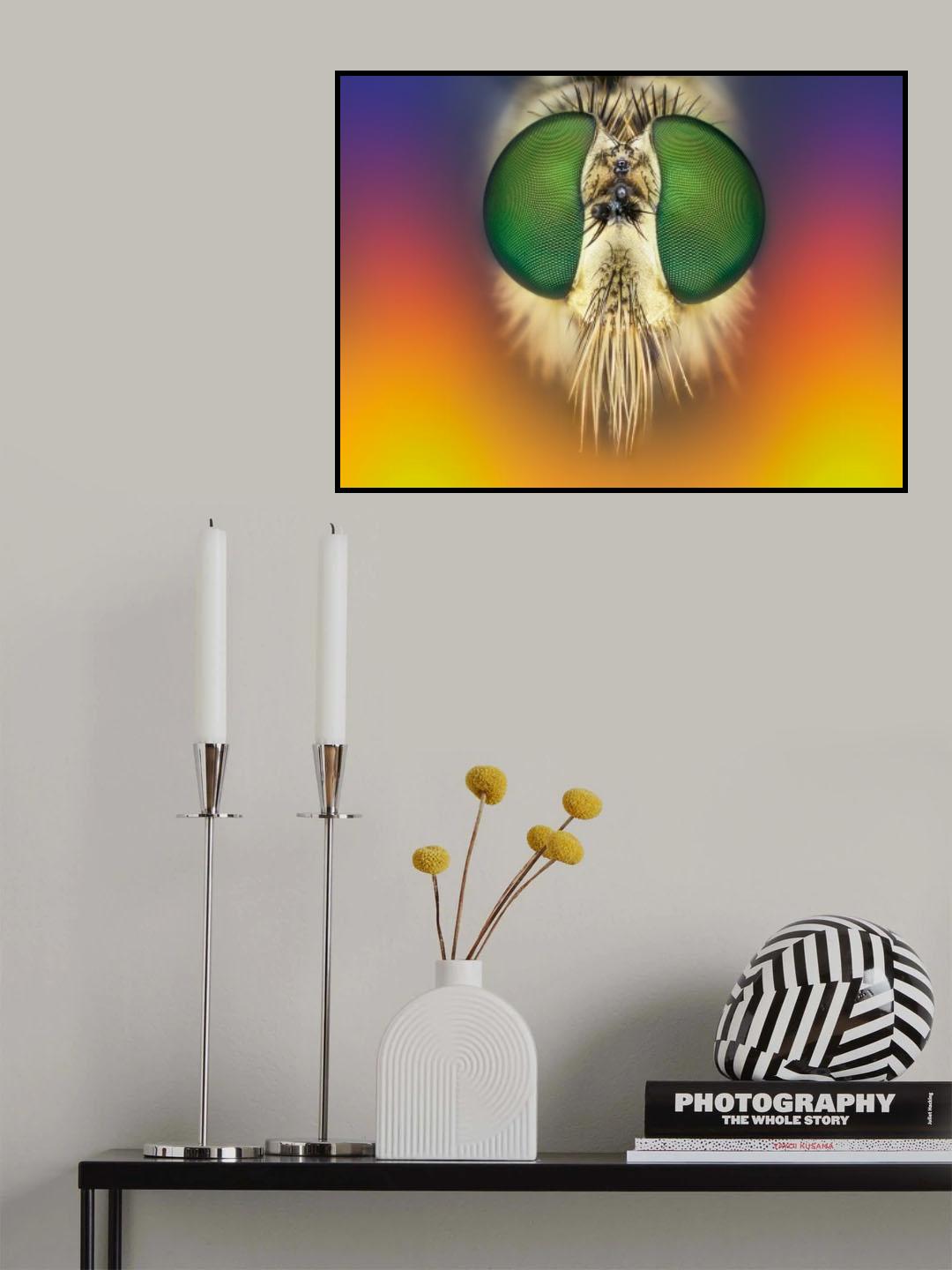 rainbow warrior Poster och Canvastavla