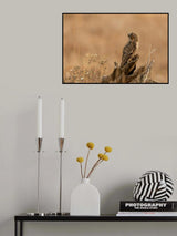 What's There Poster och Canvastavla