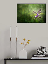 Hidden Beauty Poster och Canvastavla