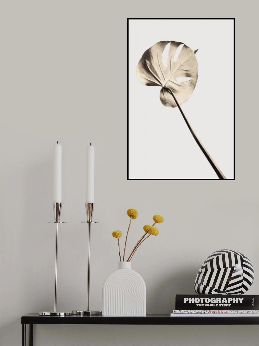Monstera Gold 03 Poster och Canvastavla