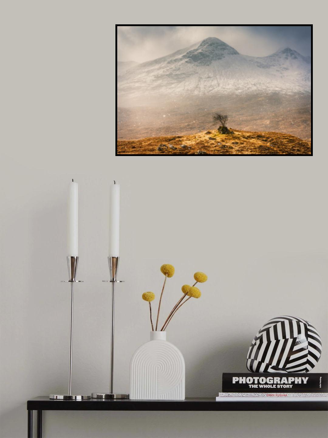 Lonely Highlander Poster och Canvastavla