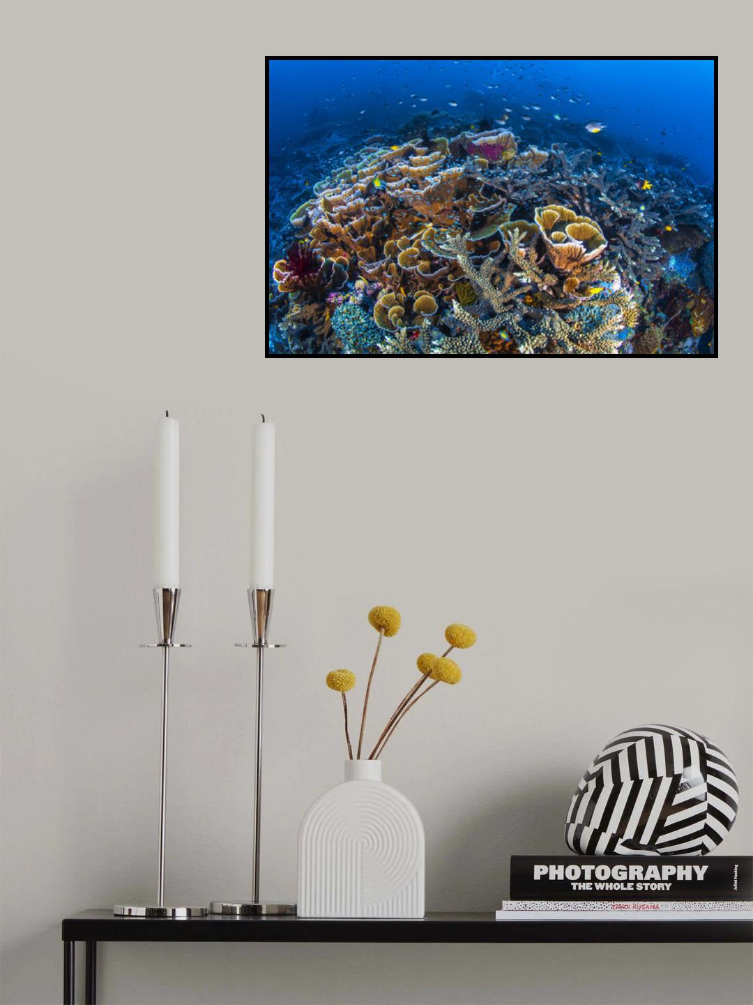 Coral Garden Poster och Canvastavla