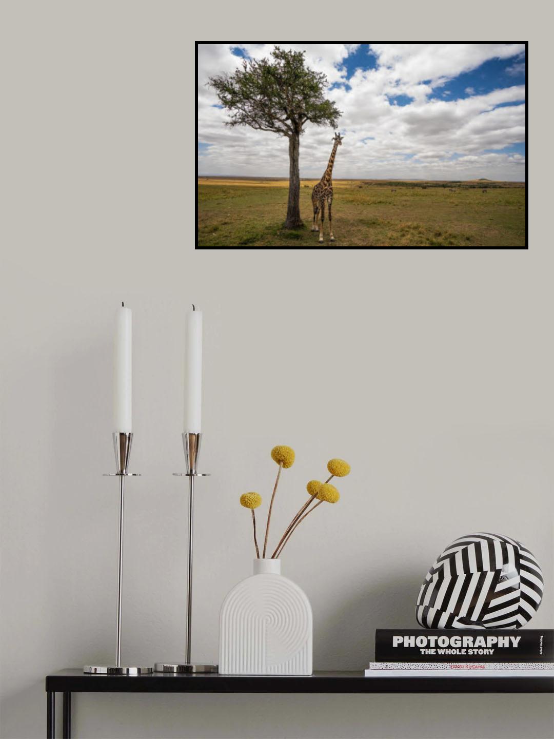 Peace Poster och Canvastavla