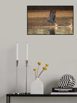 Take Off Poster och Canvastavla