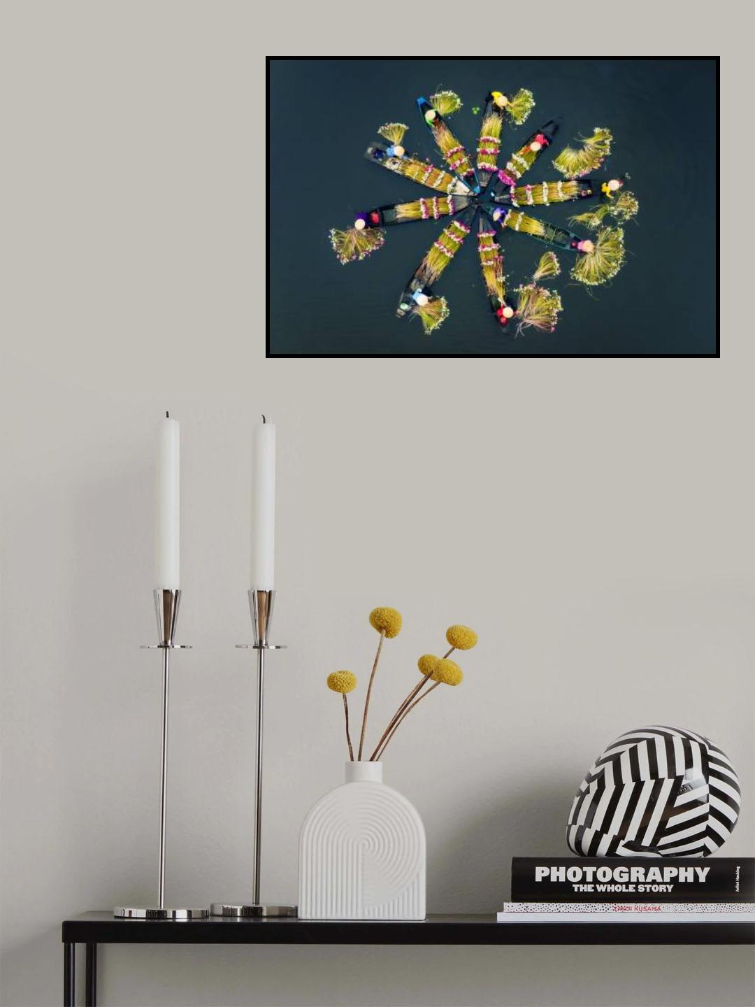 Harvesting water lilies v1 Poster och Canvastavla