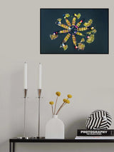 Harvesting water lilies v1 Poster och Canvastavla