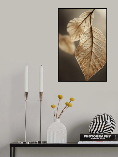 Leaf Macro Poster och Canvastavla