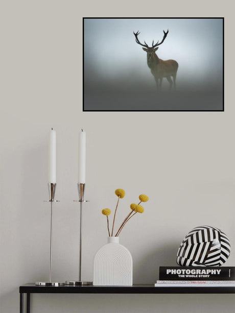 Ephemerality Poster och Canvastavla