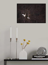 Dating Poster och Canvastavla