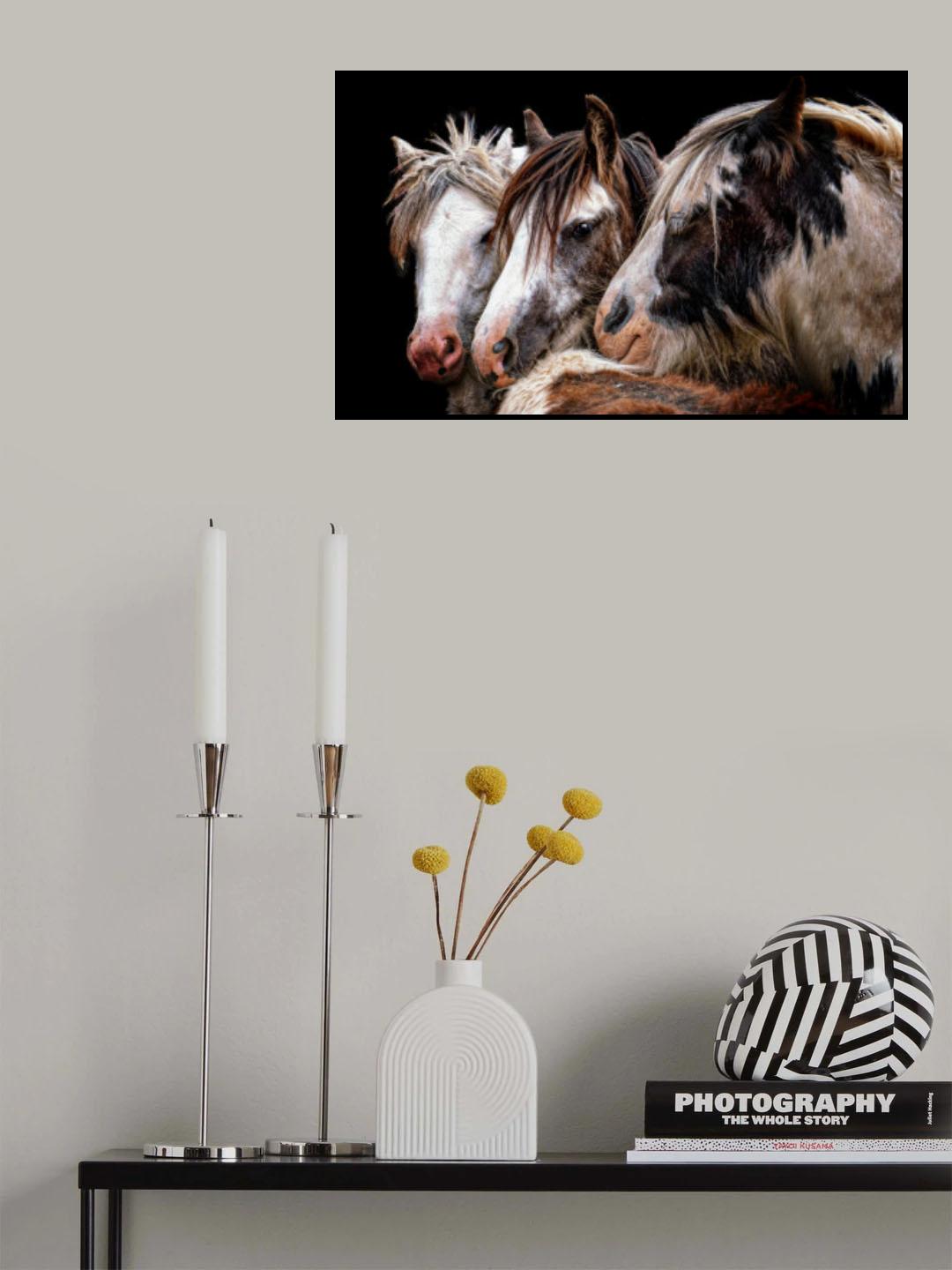 Gypsy Horse Fair Poster och Canvastavla