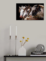 Gypsy Horse Fair Poster och Canvastavla