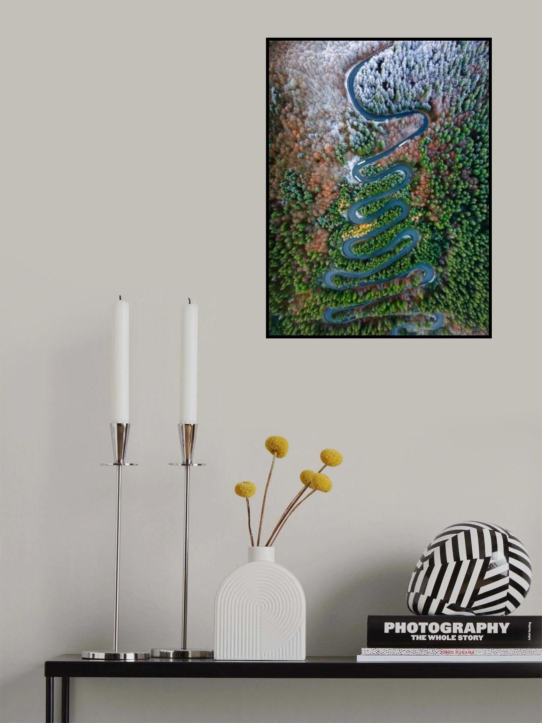 Curves Poster och Canvastavla
