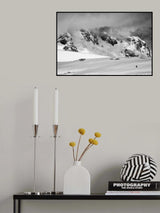 The Lonely Penguin Poster och Canvastavla
