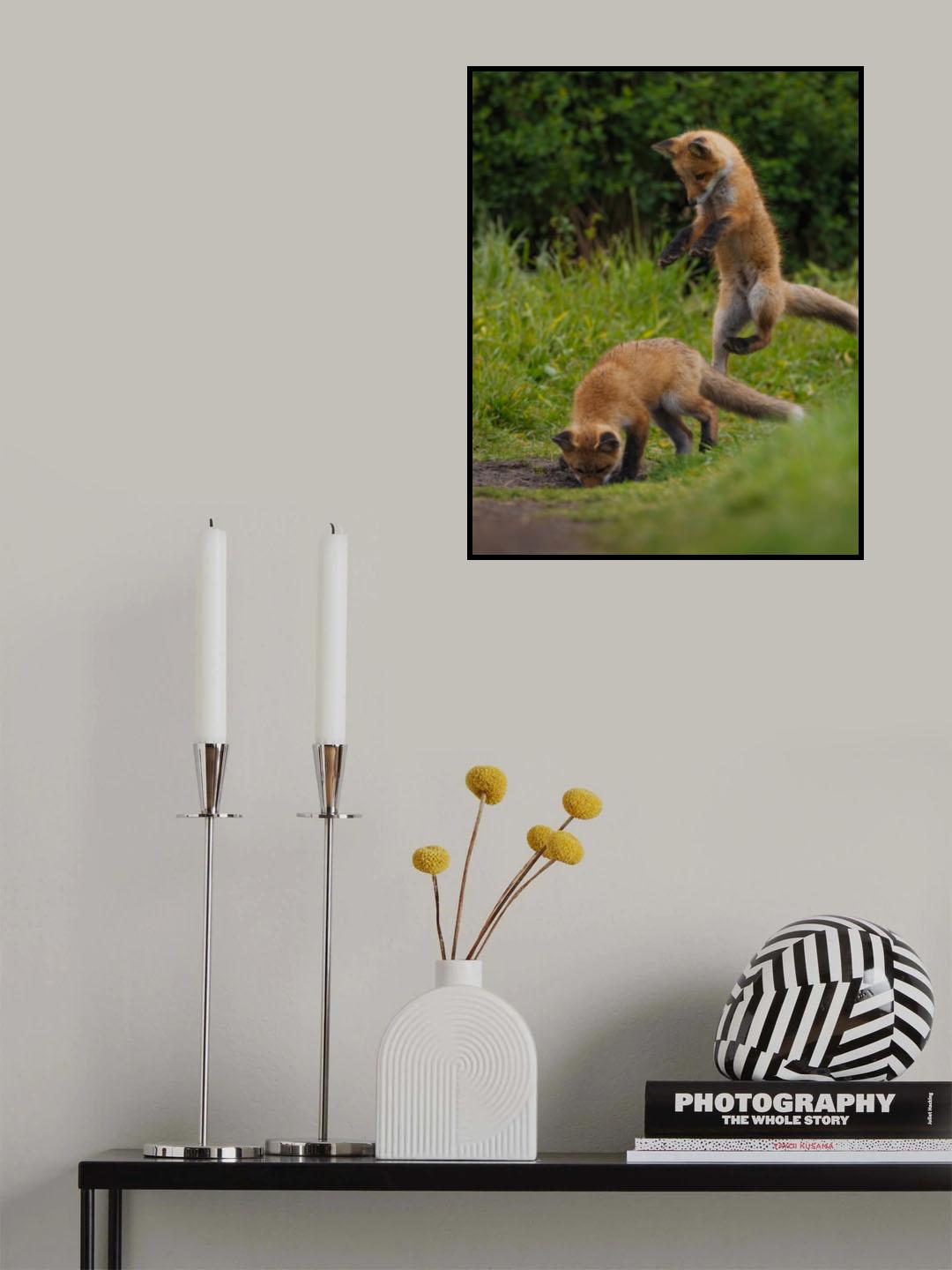 Red fox Poster och Canvastavla
