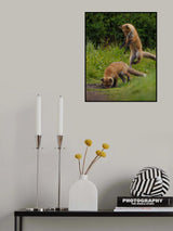 Red fox Poster och Canvastavla