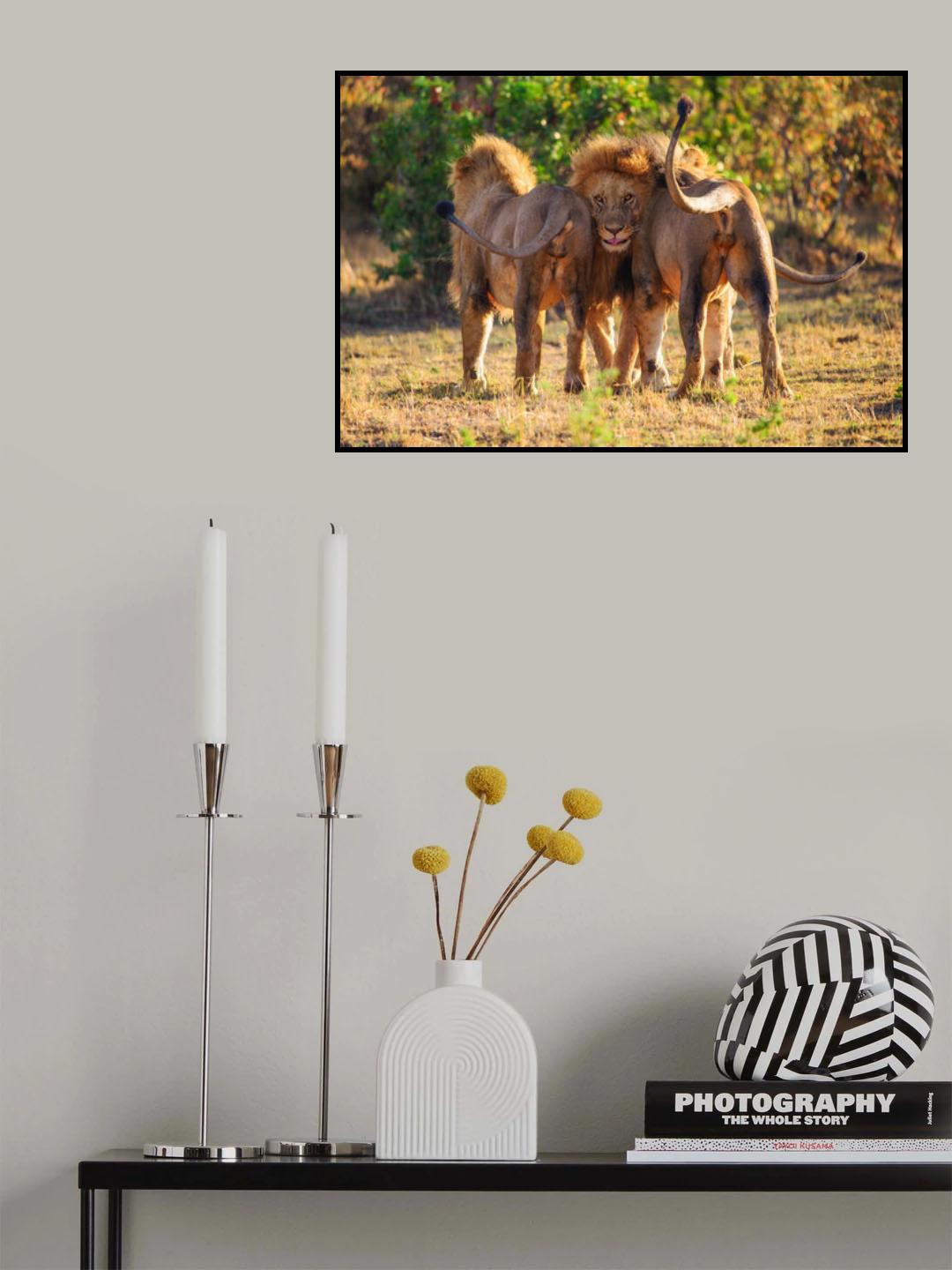Boys Poster och Canvastavla