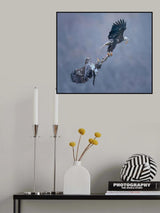 Snatch fish Poster och Canvastavla