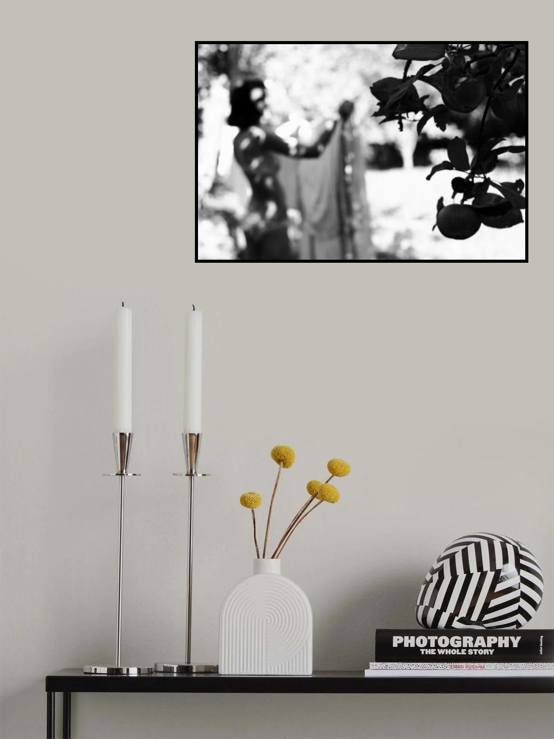 Apples II Poster och Canvastavla