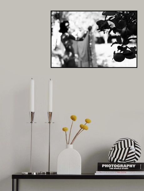 Apples II Poster och Canvastavla