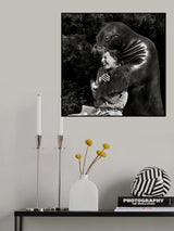 Gimme a Hug Poster och Canvastavla