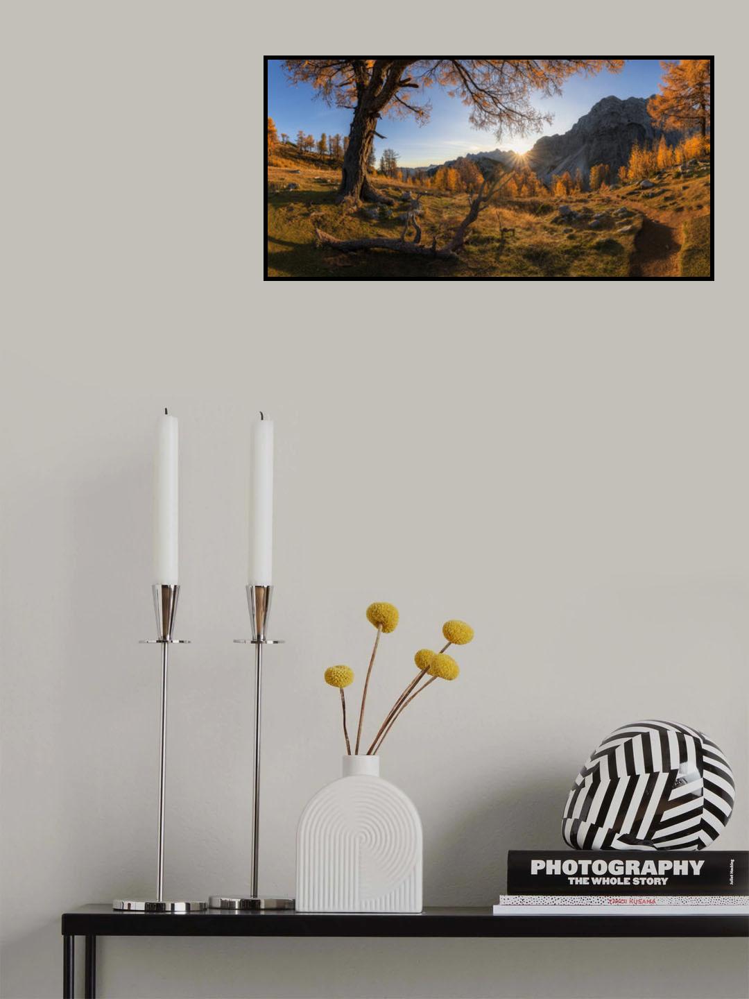 Autumn paradise Poster och Canvastavla