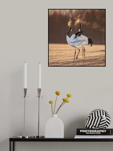 One life one love Poster och Canvastavla