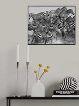 Zebra crossing Poster och Canvastavla