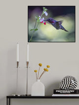 Chatting Poster och Canvastavla