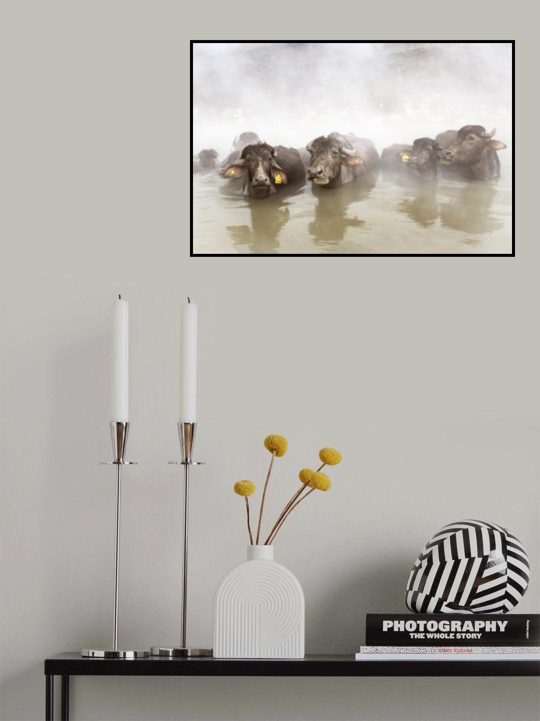 enjoying thermal water in the snow Poster och Canvastavla