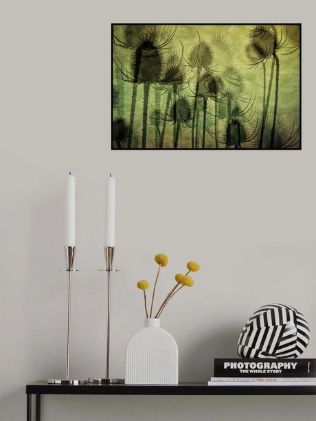 Wild Teasel Poster och Canvastavla