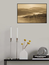 Golden Morning Light Poster och Canvastavla