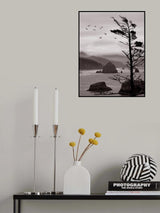 Ecola Point Poster och Canvastavla