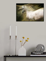 esata equina Poster och Canvastavla