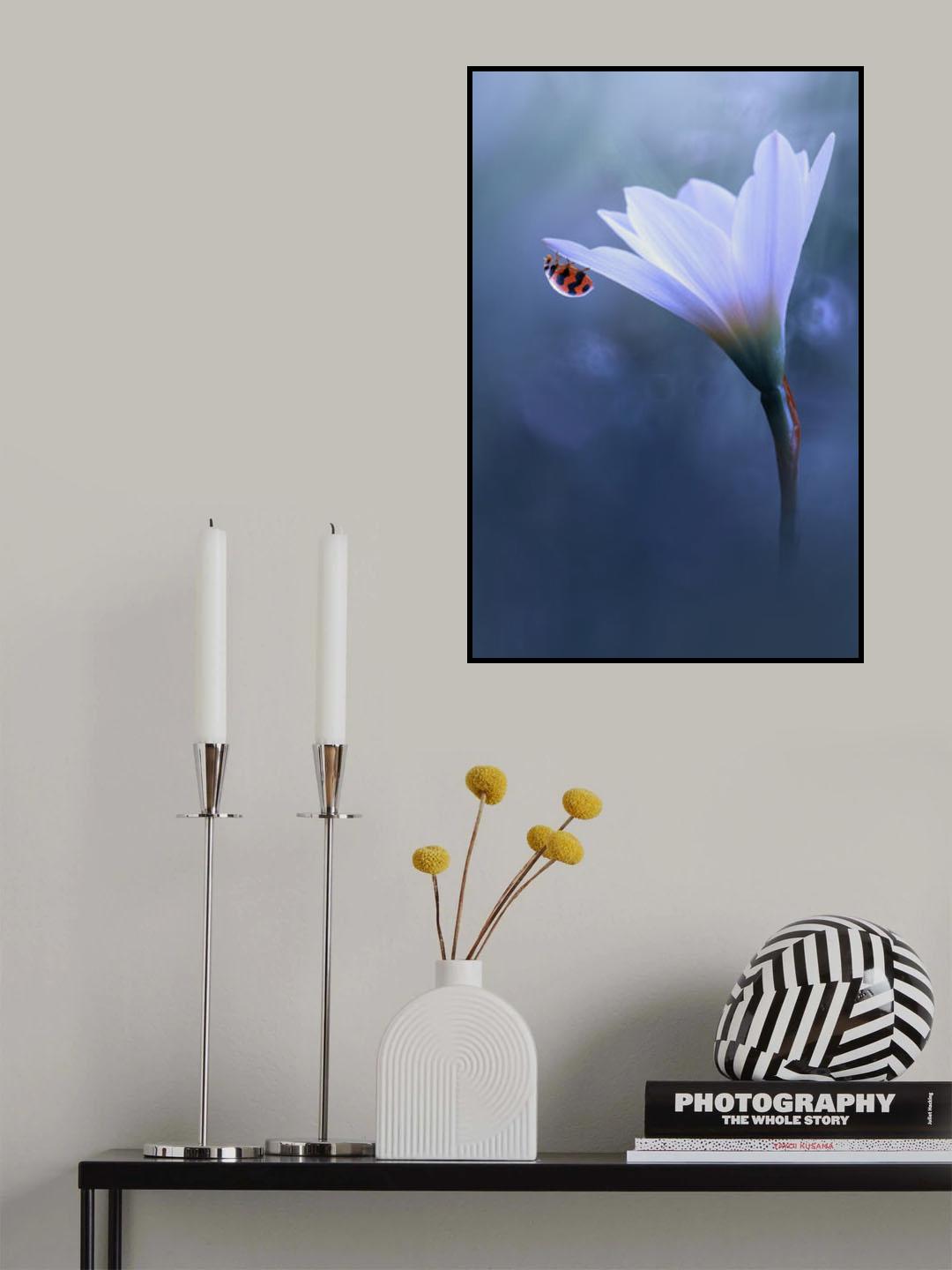 Beautiful Ladybug Poster och Canvastavla
