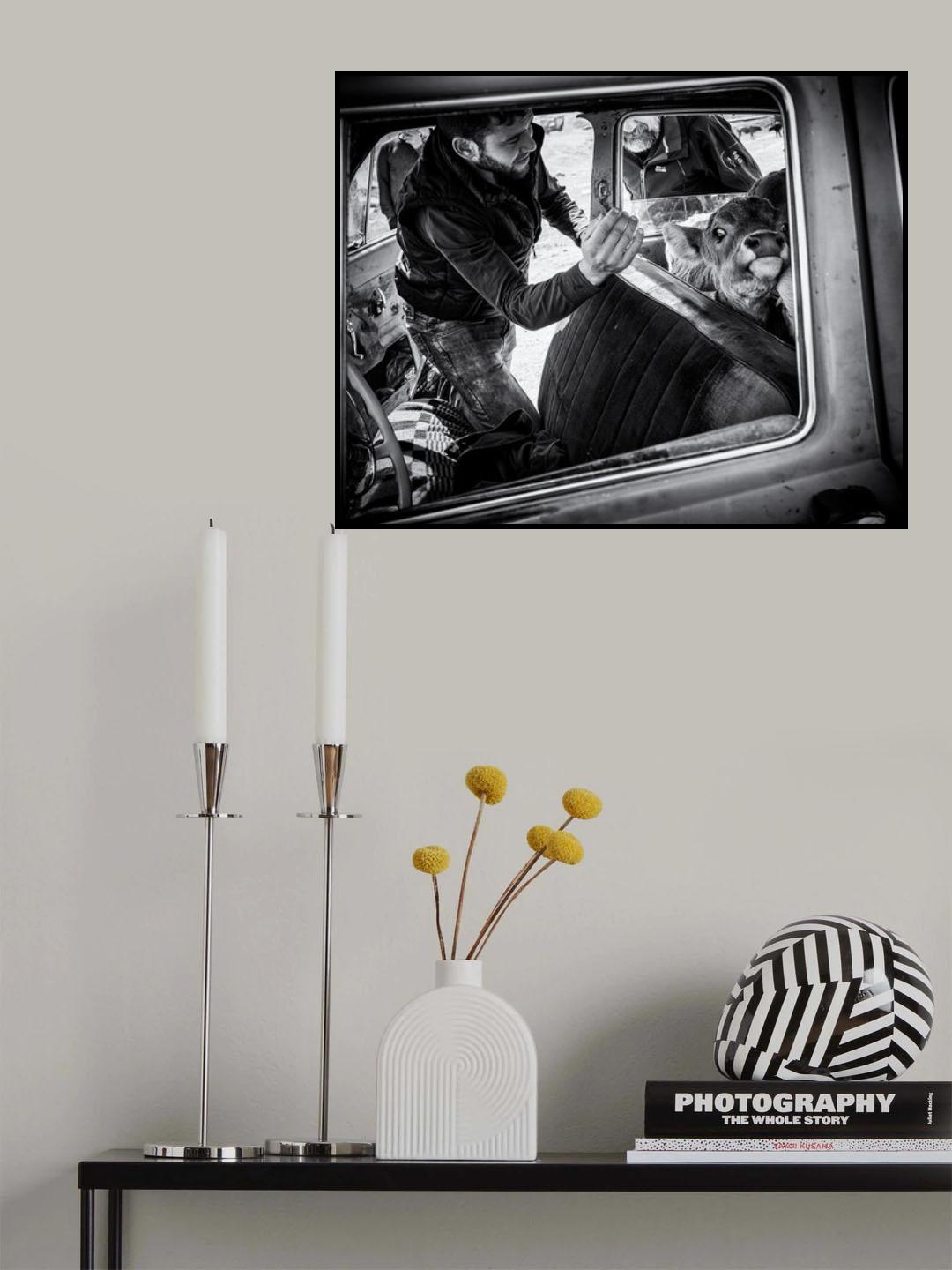 Problematic passengers Poster och Canvastavla
