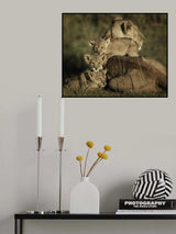 Close Family  5011 Poster och Canvastavla