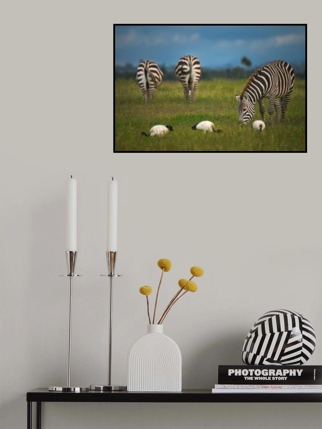 Rules of three Poster och Canvastavla