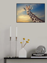 the friendly giant Poster och Canvastavla