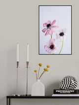 Dancing Anemones Poster och Canvastavla