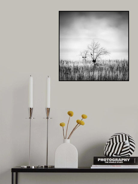 Morning Song Poster och Canvastavla