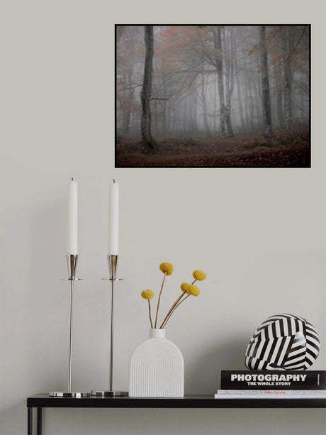 Fog and forest Poster och Canvastavla