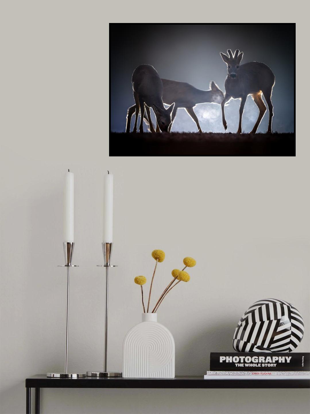 Be quite Poster och Canvastavla