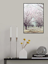 Almond Orchard Poster och Canvastavla