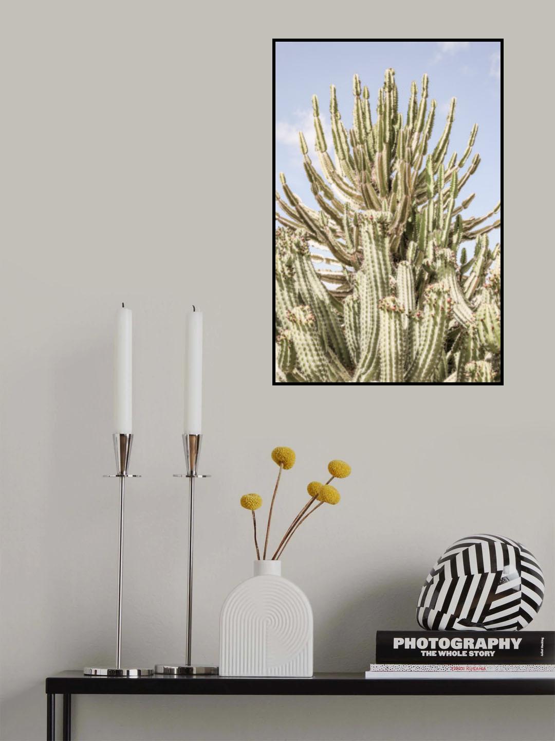 Catus Forest Poster och Canvastavla