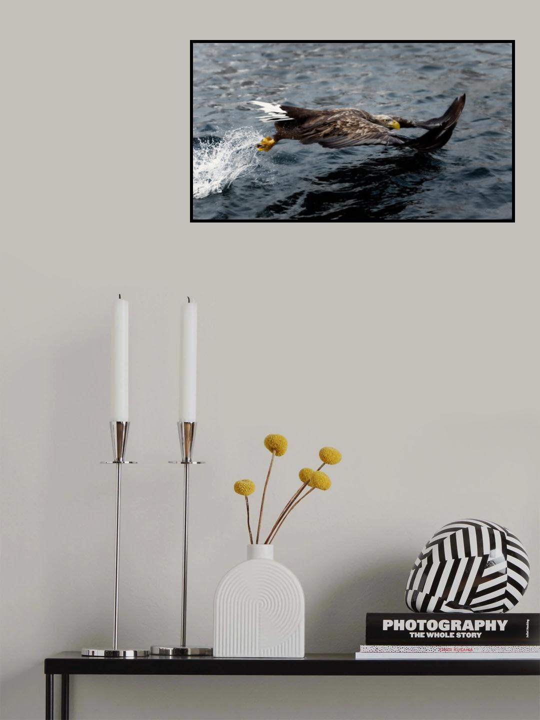 Bending on the surface Poster och Canvastavla