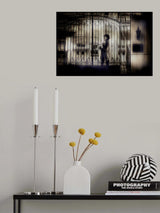 lady... Poster och Canvastavla