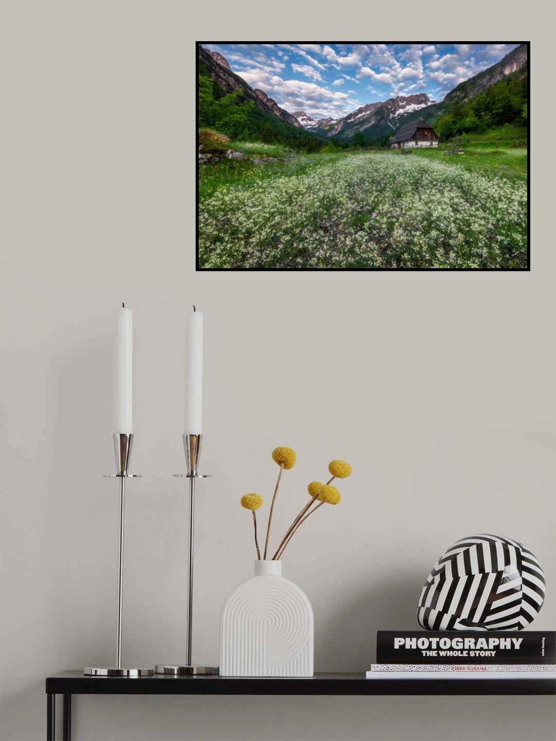 Zadnja Trenta valley Poster och Canvastavla