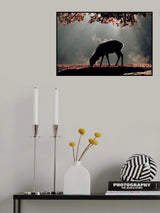 Spot light Poster och Canvastavla