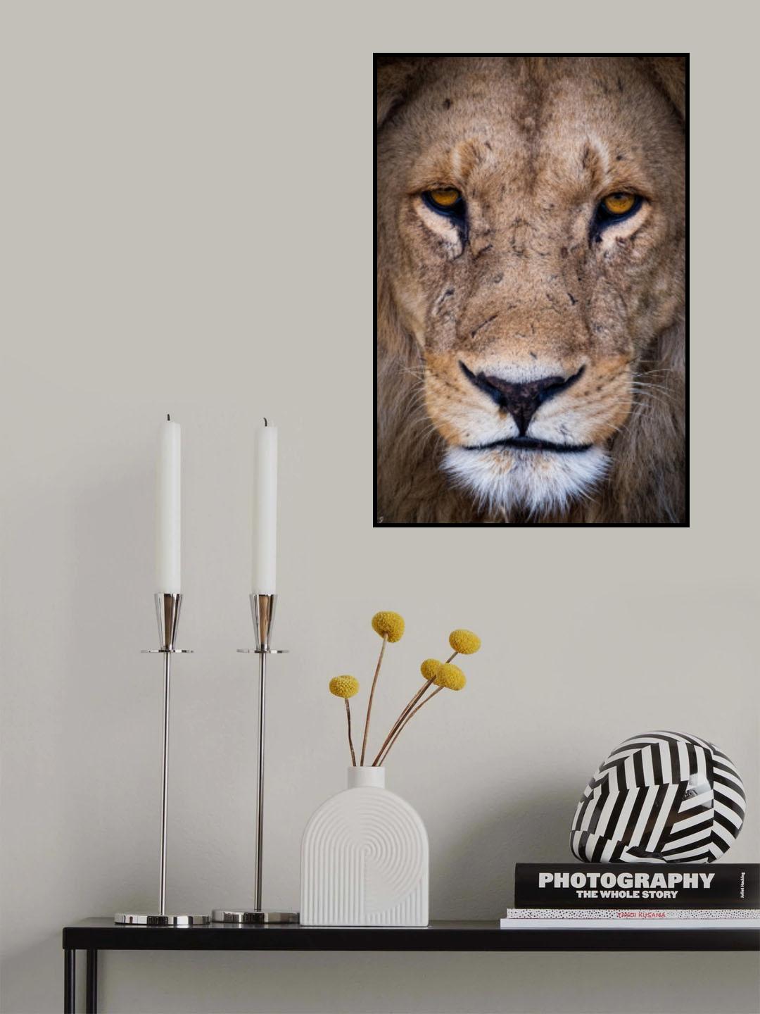 Portrait of the King Poster och Canvastavla